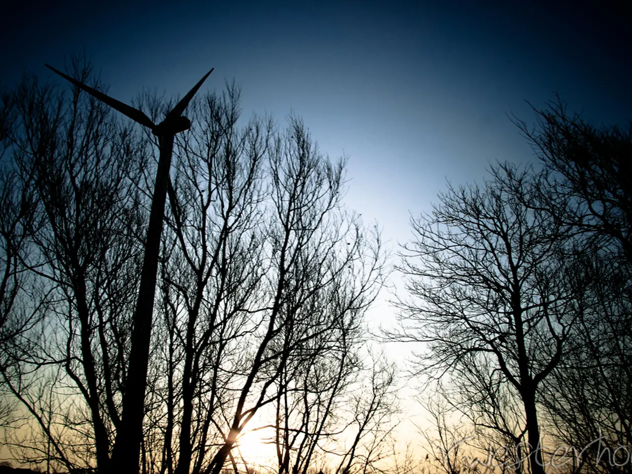 Increase Wind Energy Installations Away from Forested Areas, Suggests Nabu