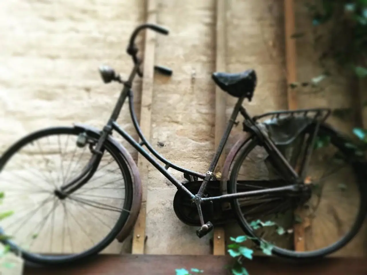 Life Span of Goods or Services