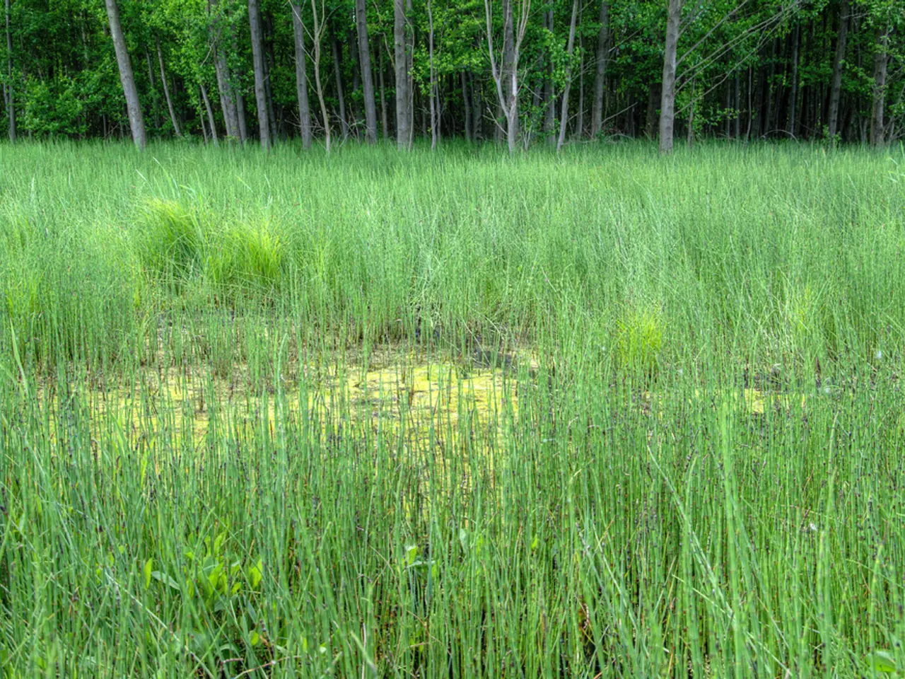 Farmers in Anapa could potentially receive compensation to cover certain expenses