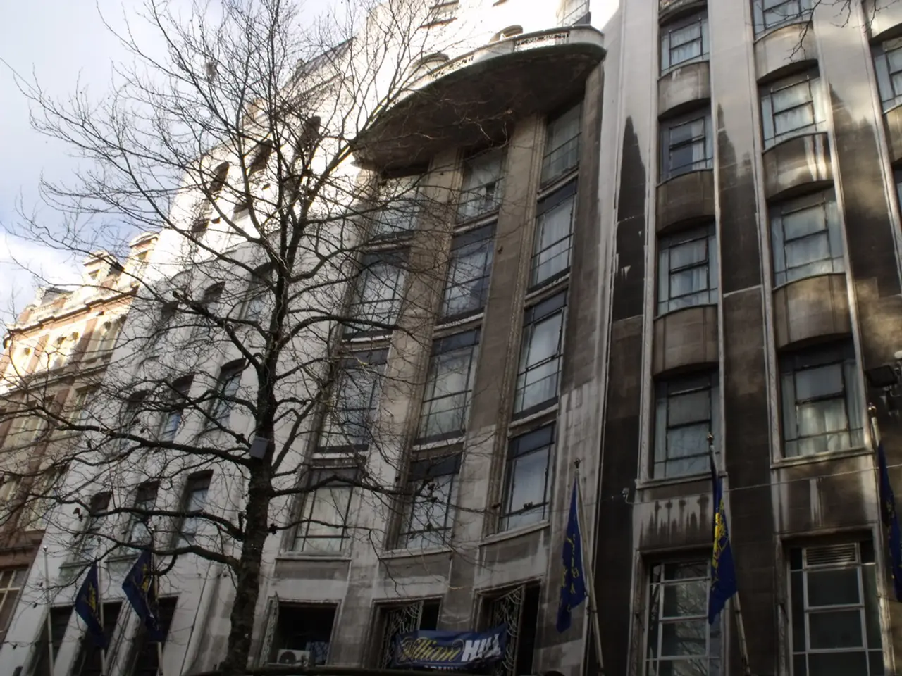 Enhancing governance and public services within Deloitte becomes Ilgenfritz's focus