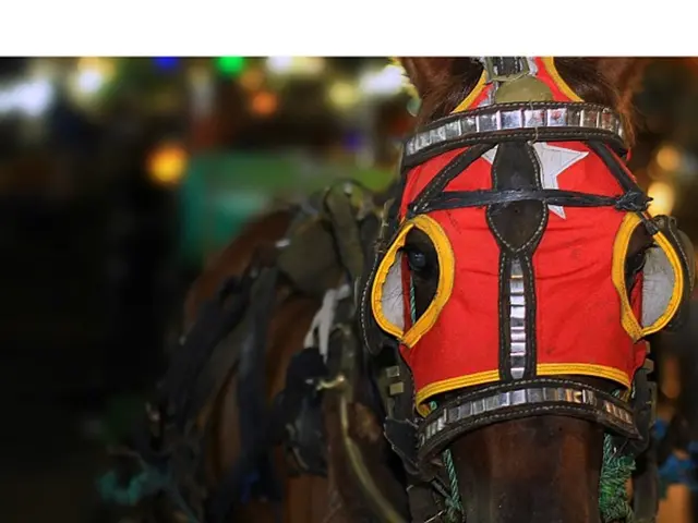 Increasing housing costs persist in Omsk, with both new constructions and secondary properties...