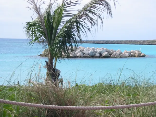 Monetary Authority Lowers Key Interest Rate by 0.25% Due to Decrease in Inflation Rate