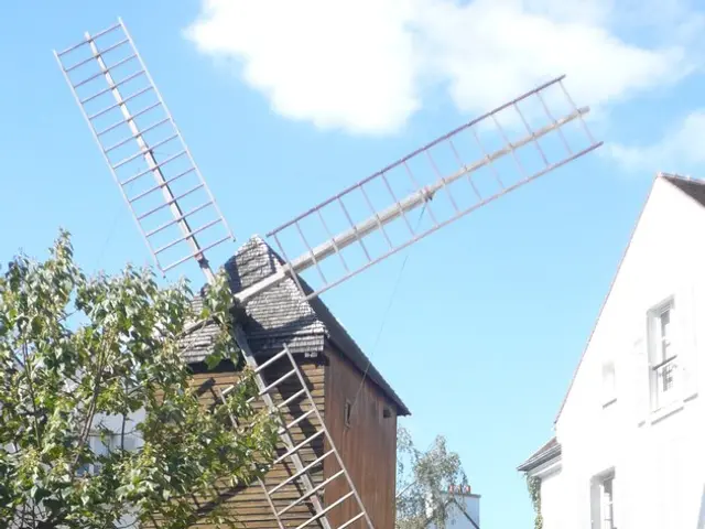 Pushes for swift decrease in electricity prices, according to Süsig