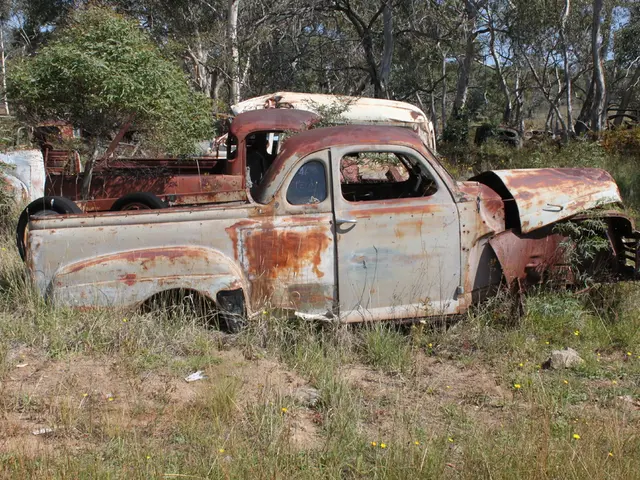 Reduction in vehicle damage during storms, yet substantial financial losses persist