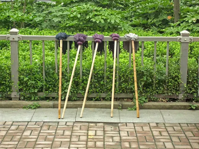 Investment Performance Rules: Description and Applications