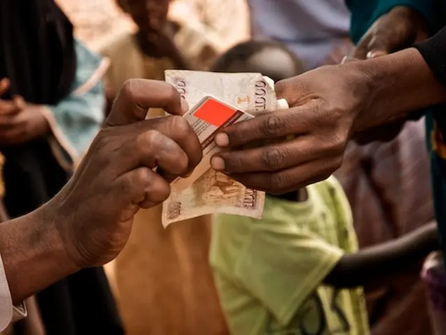 Utilize credit card rewards: Discover methods to contribute your accrued points to charities this...