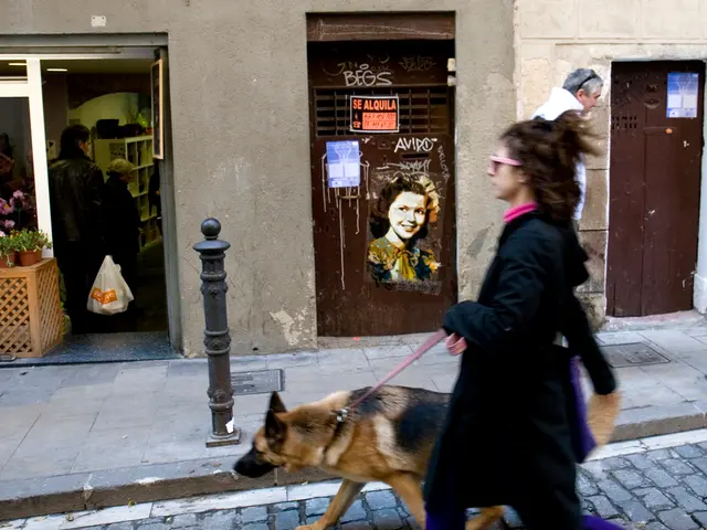 Amber Lewin Bio, Wealth, Spouse, Offspring, Television Shows