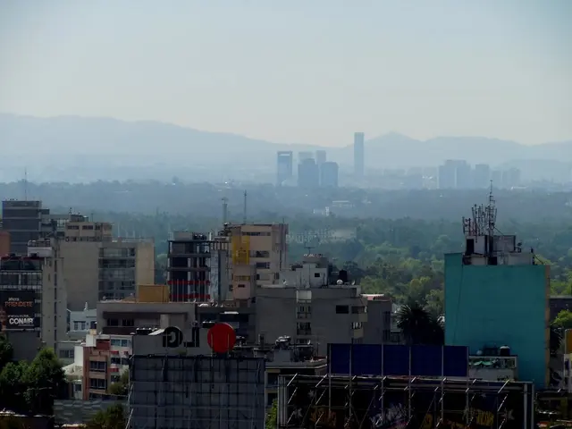 Business optimism wanes, utilization rate declines in June