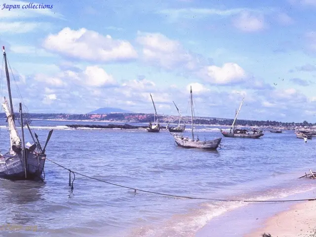 Financial Peak: Definition, Relevance, and Illustrative Scenarios in Banking