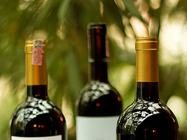 Grocery Regulation Chaos Sparks Backlash from Marks & Spencer