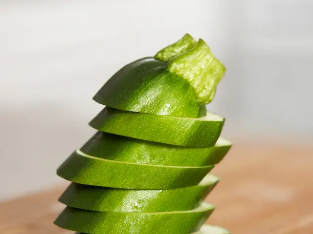 Following the conclusion of the pickle harvest, a local producer in Spreewald has announced job...