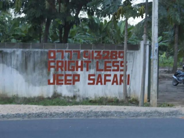 Generous dividend distributions currently available