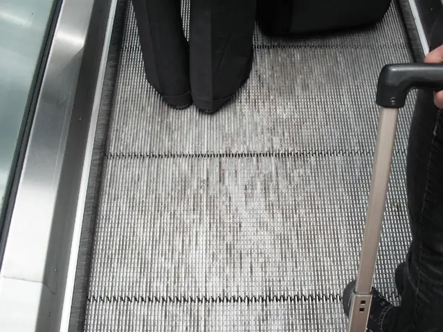 Executive Assistant at a High Rank: Their Role Explained