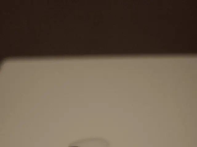 Increasing Presence Abroad: Indonesia