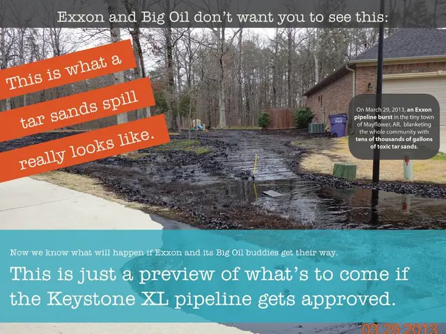 Enhancing Project Results and Expanding the Anaerobic Digestion Sector's Development Report