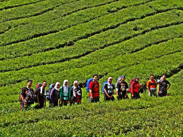 Transforming Retirement Landscape: The Influence of Two-Pot Approach on Individuals' Savings