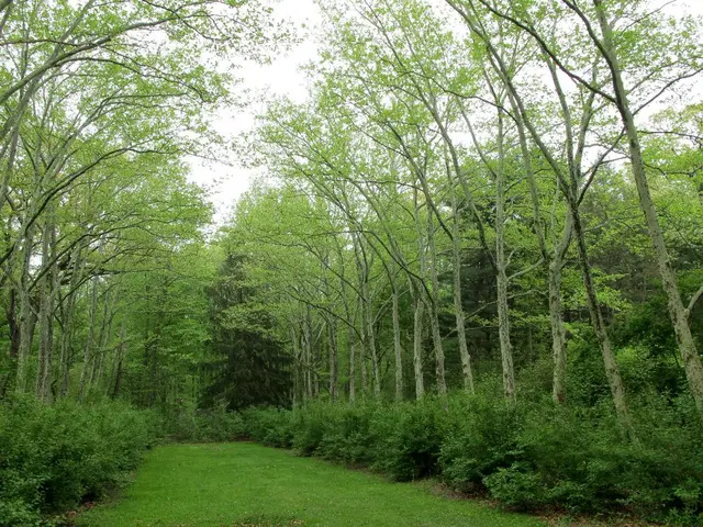 Diversity in the Natural Environment for Financial Institutions