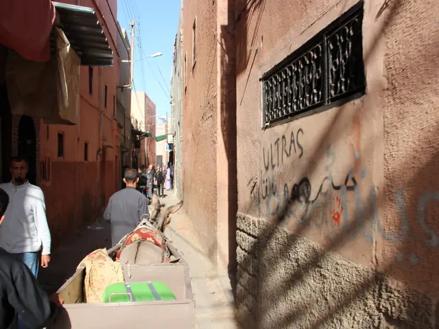 Adapting is a necessity for towns and businesses amidst the academic landscape changes