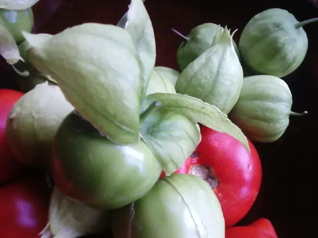 Amidst a decline in Kuwait's agricultural production, the value of its agricultural sector soars...