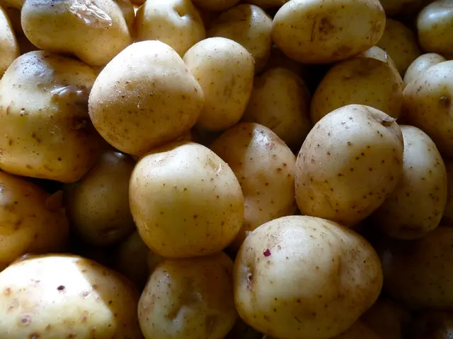 India's Potato Processed Products Speculated as Potential Game-Changers in Projected $47 Billion...