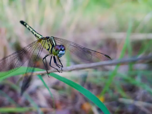 Legal challenges hampering Light & Wonder's stock, according to analyst assessment