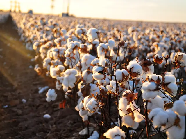 Increased sales of fertilizers due to early monsoon, continued price pressure remains