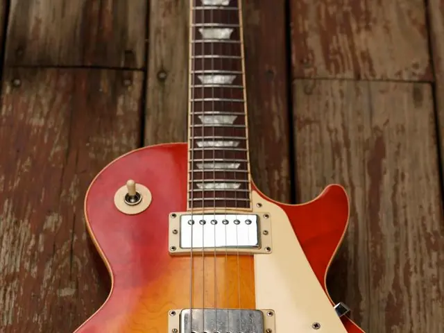 Guitar manufacturer Fernandes granted authorization for bankruptcy proceedings to commence