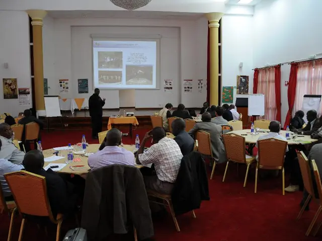 Economists, American businesses, and local companies receive consultation from the Commerce...