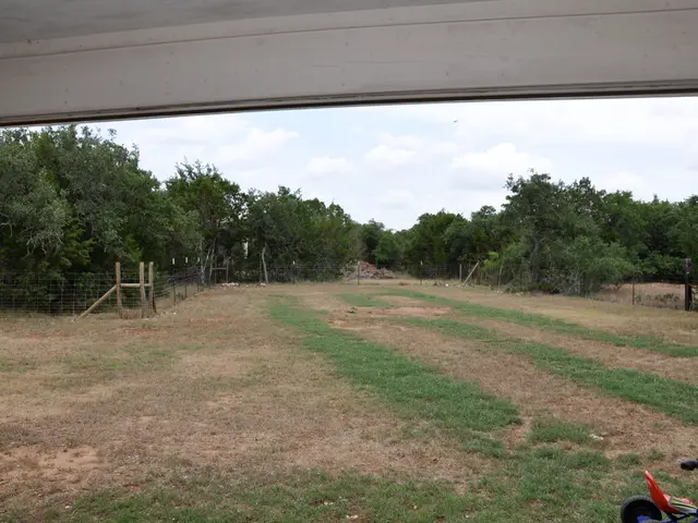 Guiding Clients: Males, Females, and Diversities in Professional Services