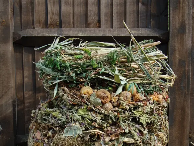 Transforming Horse Stall Waste Wheat Straw into Methane Fuel