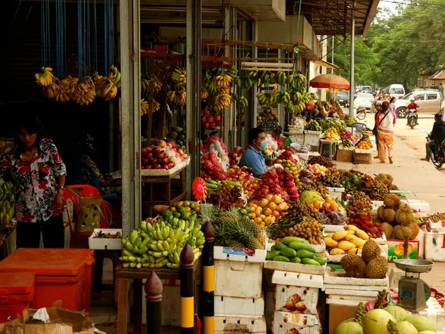 Government of Latvia approves initiative aimed at drawing in financial backing