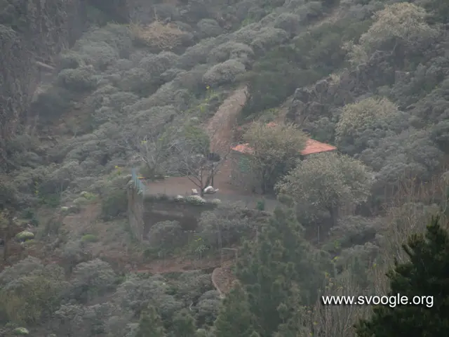 Idaho credit union set to broaden its horizons through bank acquisition in Montana