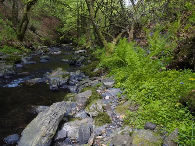 The Real Cost of a Cup of Water Revealed: Examining Its True Value