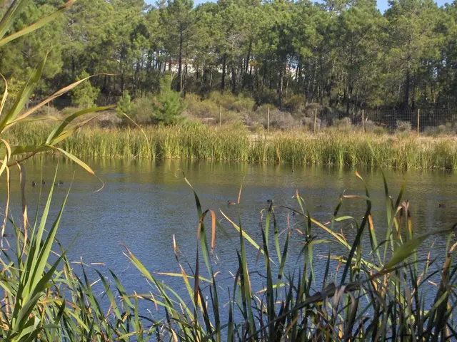 LPFA Intends to Allocate 5% of Its Wealth in Environmental Solutions