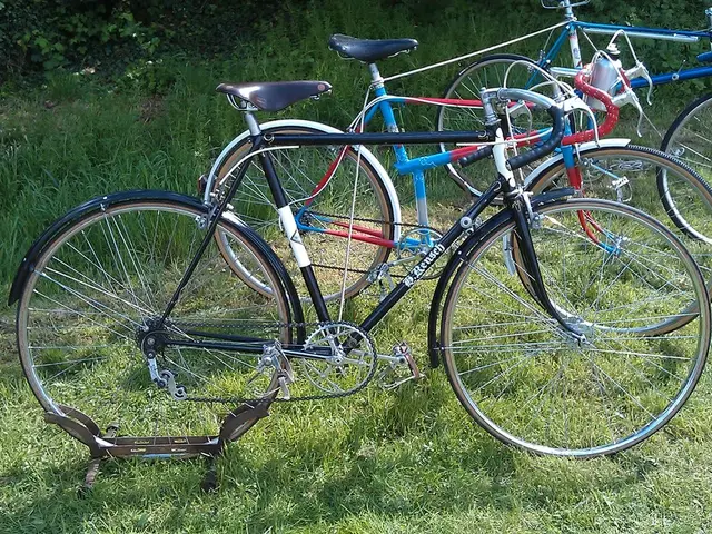 Lloyds Bank announces establishment of Carbon and Biodiversity Trading Services department