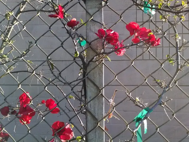 Ethical Financing: Making Investments That Line Up With Personal Morals