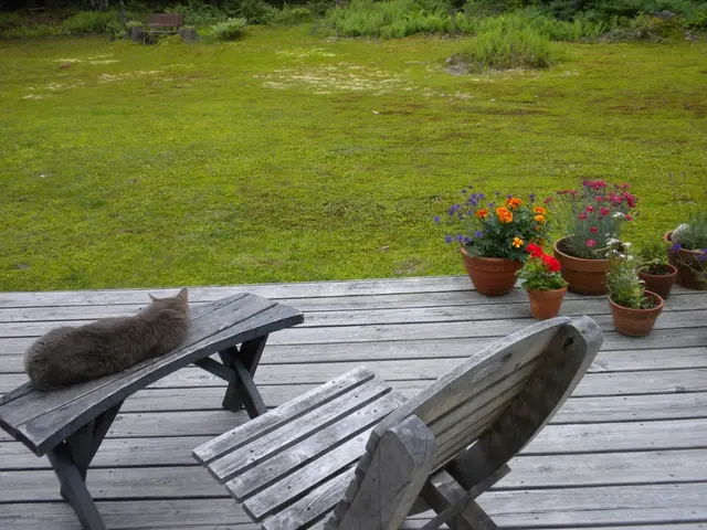 Investment firm L Catterton has named Vikram Kumaraswamy as a partner and co-head for its...