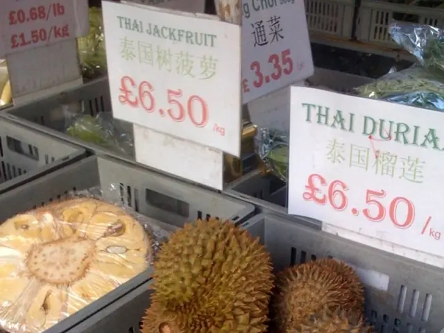 The Price of Crafting an Online Marketplace Platform comparable to Gumtree.