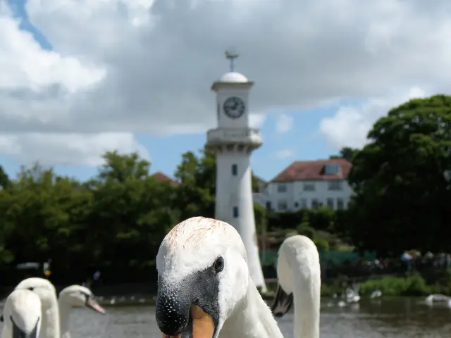Vacation Rental Restrictions Approved by Maui Panel...