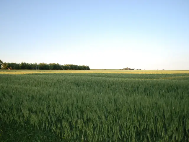 Ireland's approach to tariffs warrants strategic consideration