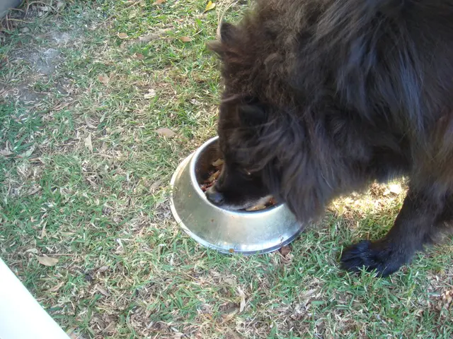 Almaty's Nighttime Racing Events Unmasked and Penalized: Digital Celebrities Face Consequences