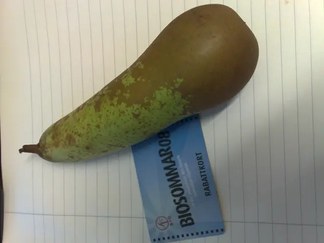 Stop contributions to my GoFundMe campaign!