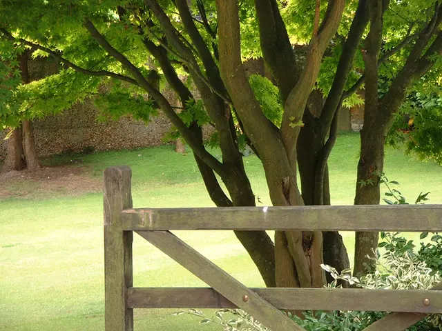 Unveiling the crucial role of green finance in shaping Vietnam's energy landscape of tomorrow