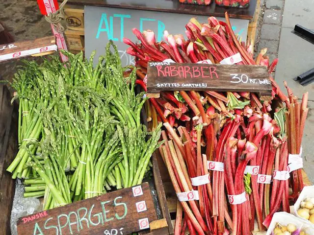 "With a 30% tariff, potential exists for eliminating the US market for Arredo's goods"