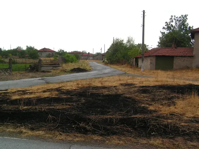 Mandatory solar panel installation bill defeated in parliament