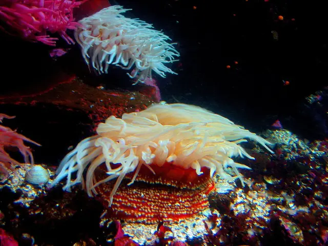 Strong initial phase of operation yields net profit of Dh10.8 billion for IHC