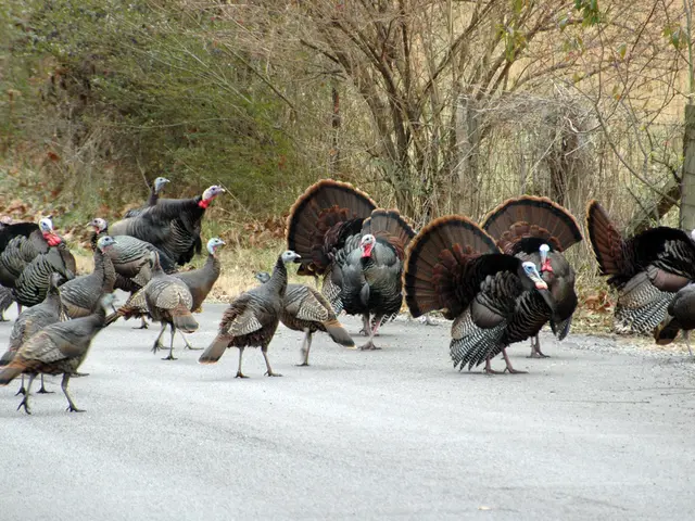 World Bank grants $748 million for Turkey's energy transmission modernization