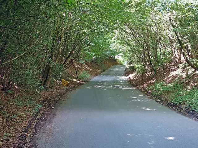 In road quality, Primorye surpasses over 50 other regions nationwide