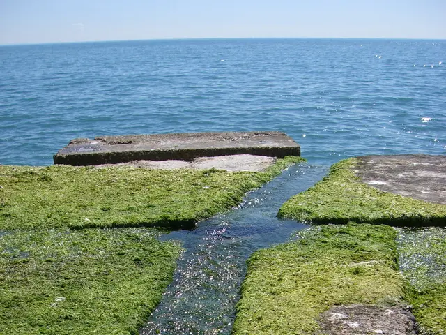 Offshore Hydrogen Generation Through PEM Water Electrolysis Led by Fraunhofer