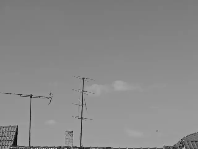 "Andreas Breitner, VNW's Director, claims that achieving climate neutrality by 2035 could be an...